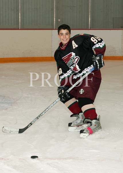 Return to Gallery